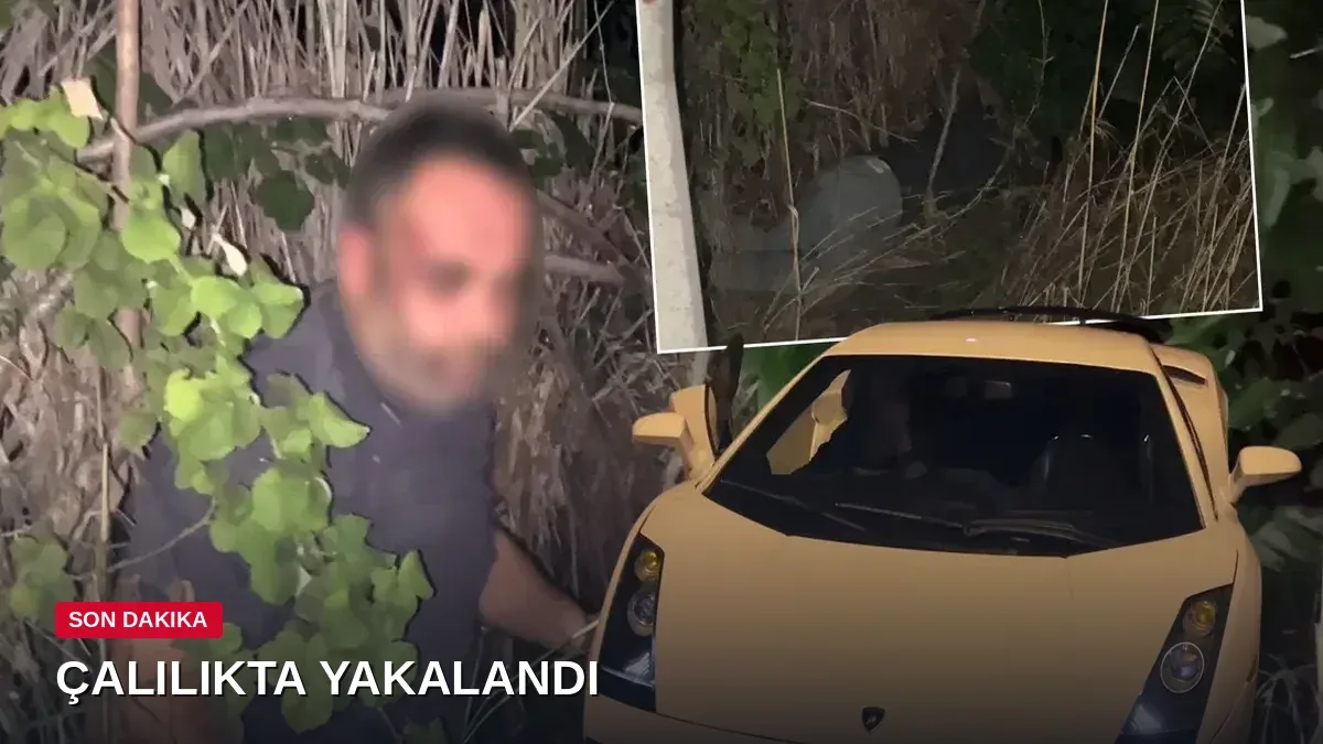 10 milyonluk lüks araçla kaçtı, çalılıkta uyurken bulundu: 'Horladım mı?'