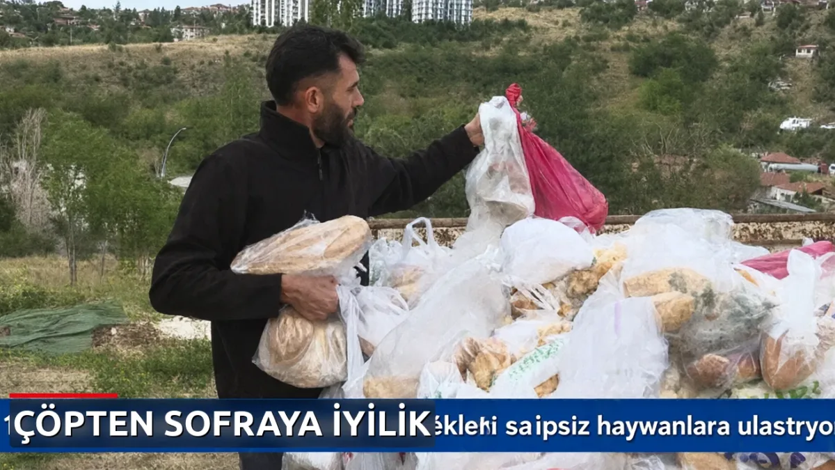 14 aydır sokaklardan topladığı ekmekleri sahipsiz hayvanlara ulaştırıyor