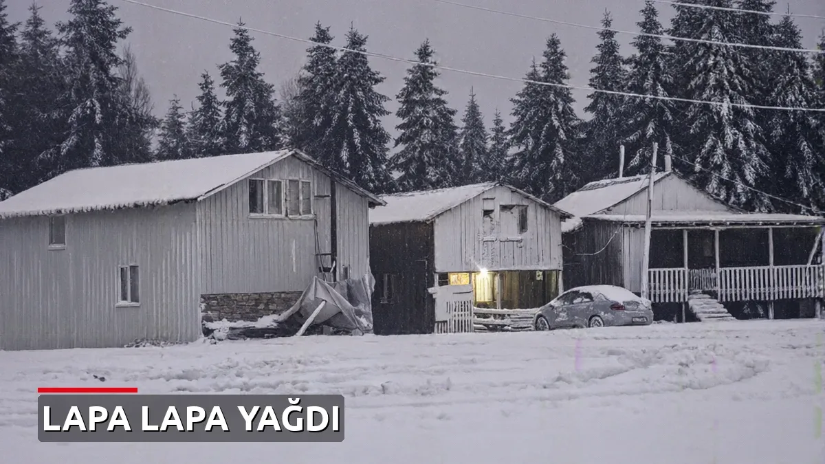 9 il beyaza büründü! Lapa lapa yağan kar sıcaklara son verdi