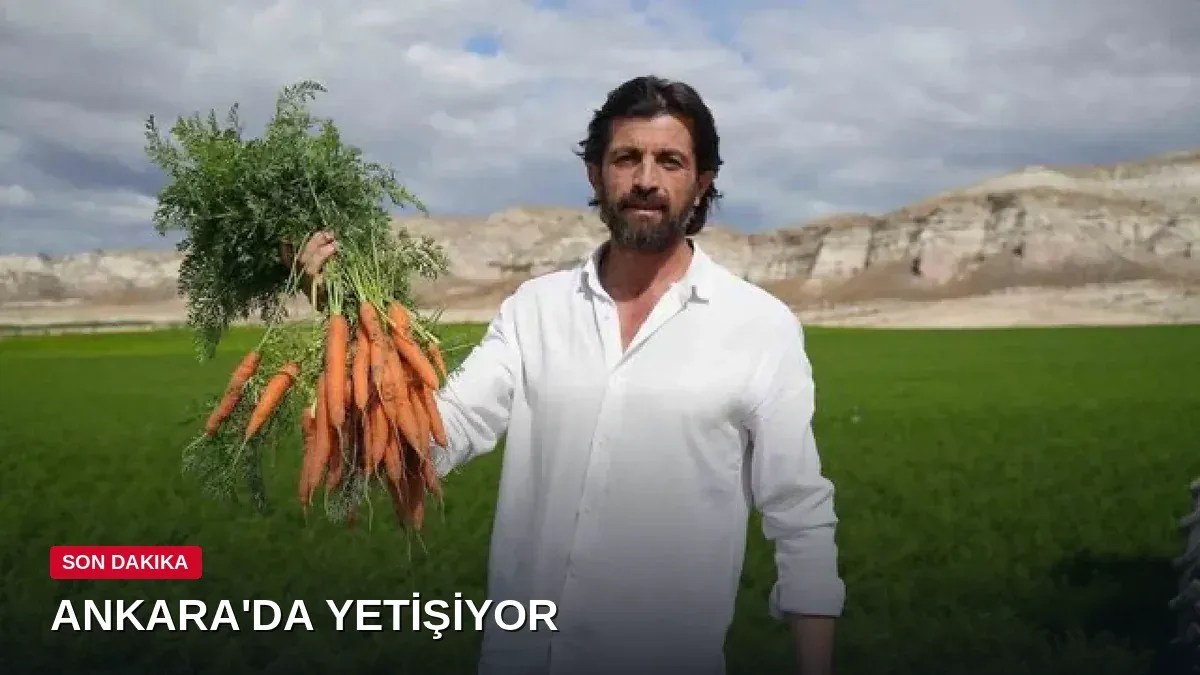 Ankara'da yetişiyor! Restoran ve marketler almak için adeta yarışıyor