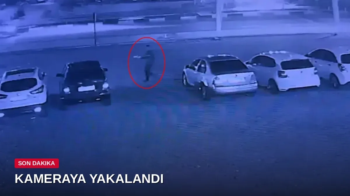 Antalya'da oto galerideki 6 aracı ateşe veren şüpheli tutuklandı