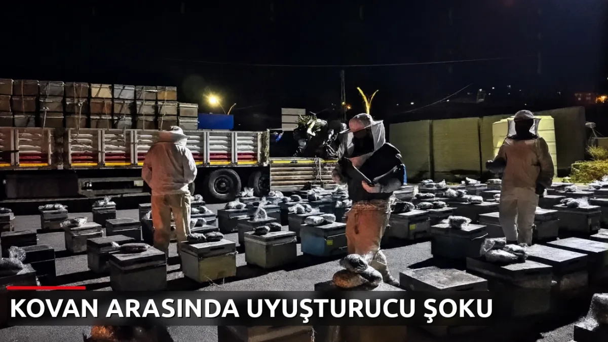 Arı kovanlarına gizlenmiş 91 kilo uyuşturucu: 3 gözaltı