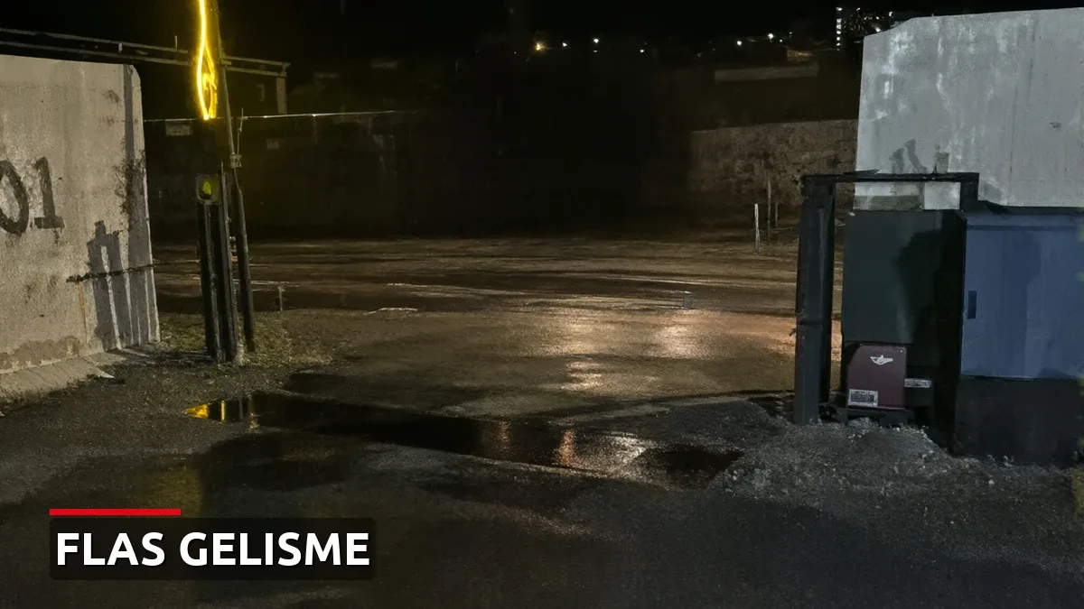 Arı kovanlarının arasına gizlemişler! 91 kilogram uyuşturucu ele geçirildi
