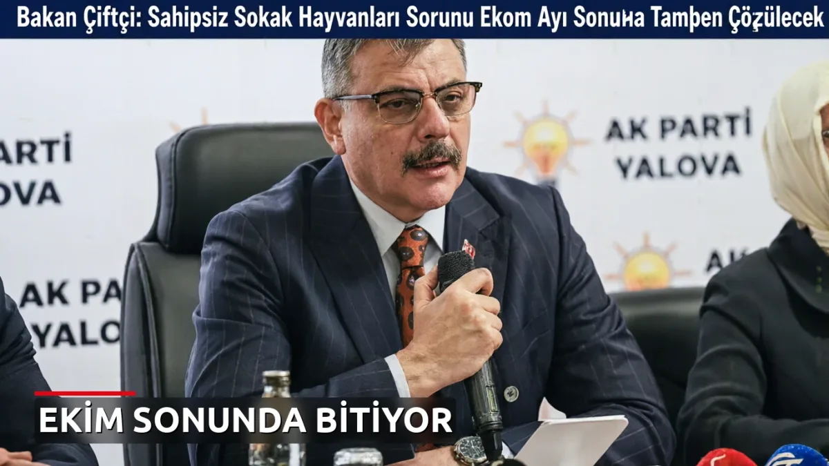Bakan Çiftçi: Sahipsiz Sokak Hayvanları Sorunu Ekim Ayı Sonunda Tamamen Çözülecek