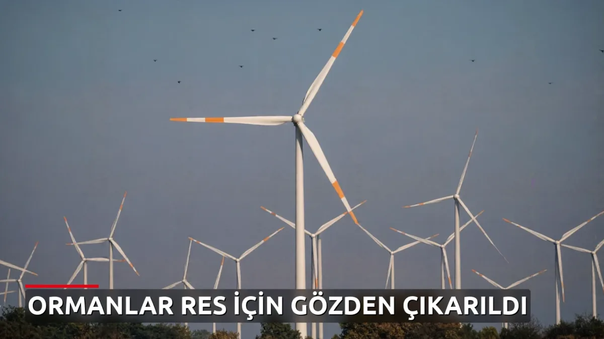 Balıkesir'de ormanlar RES için gözden çıkarıldı: 20 türbin kurulacak