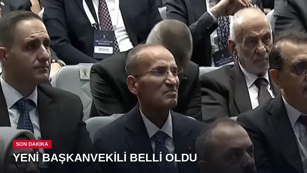 Bekir Bozdağ'ın ardından Meclis Başkanvekilliği'ne Yusuf Beyazıt getirildi