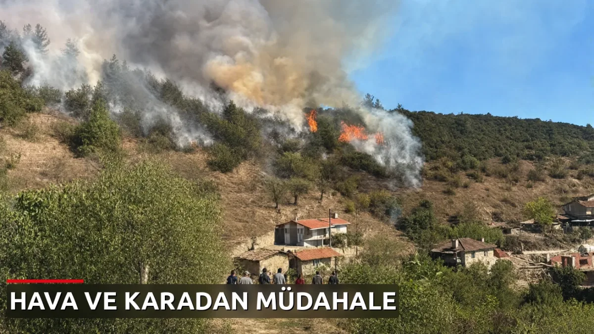 Bursa'da orman yangını çıktı! Havadan ve karadan müdahale sürüyor