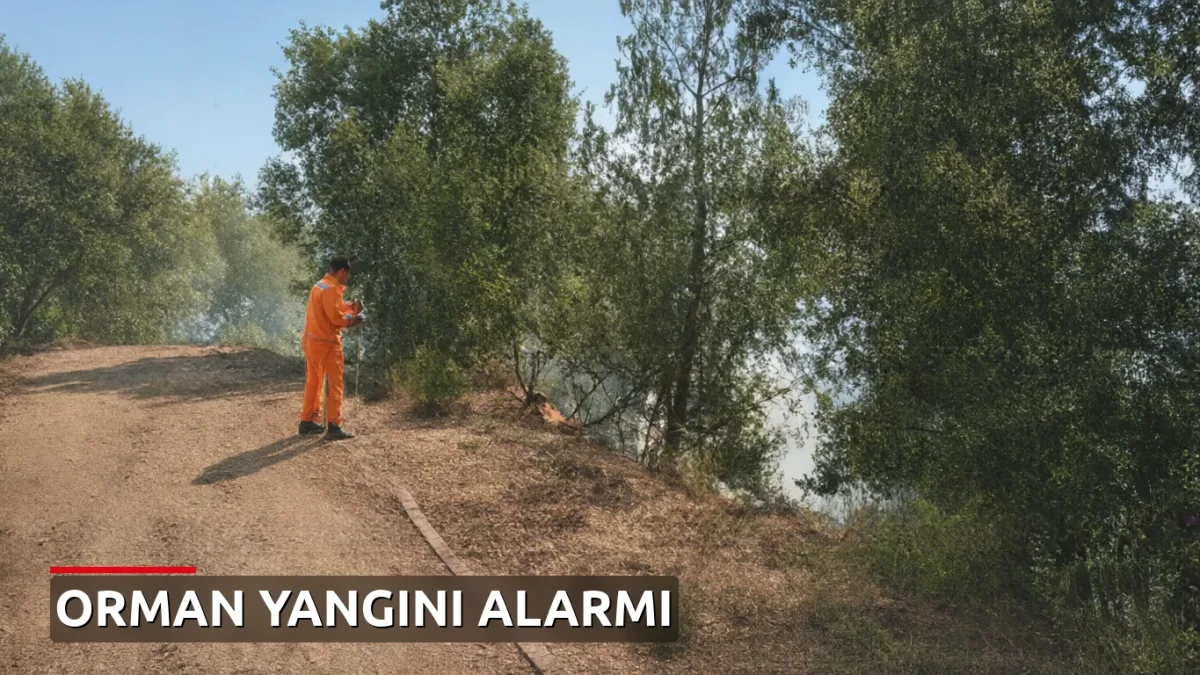 Bursa'da Orman Yangını: Ekipler Harekete Geçti