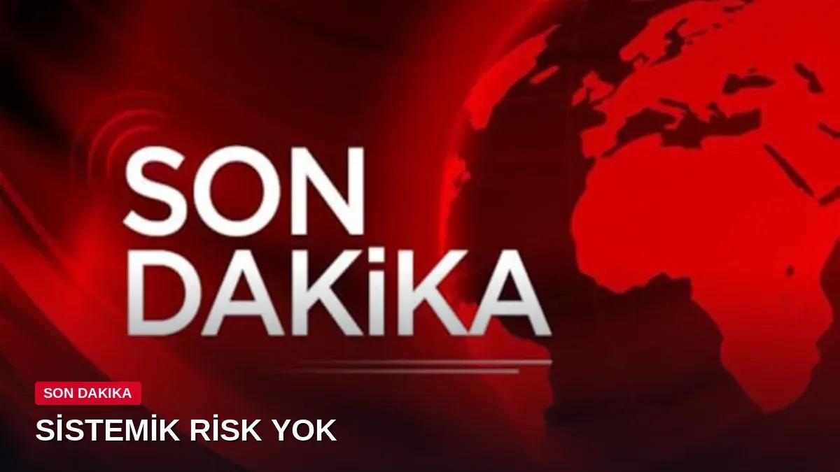 Cevdet Yılmaz TBMM'de Fon Krizi Hakkında Önemli Açıklamalar Yaptı