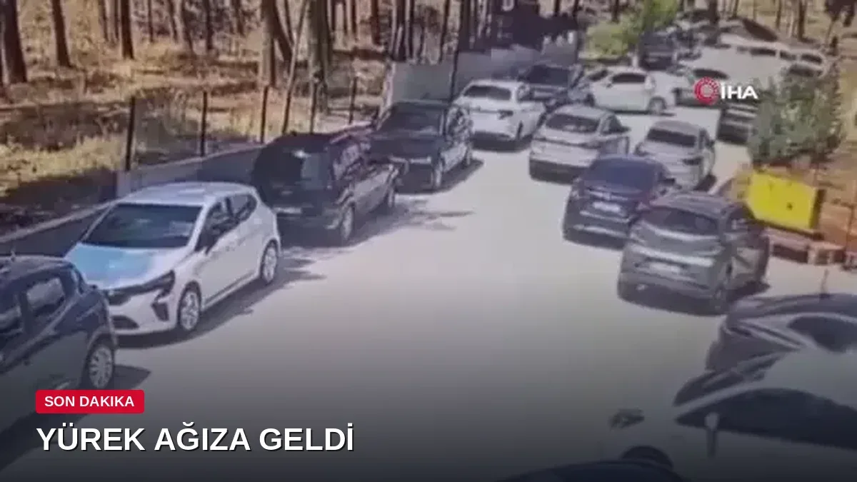 Çocukların üzerine gidiyordu! Geri geri kaçan aracı böyle durdurdular