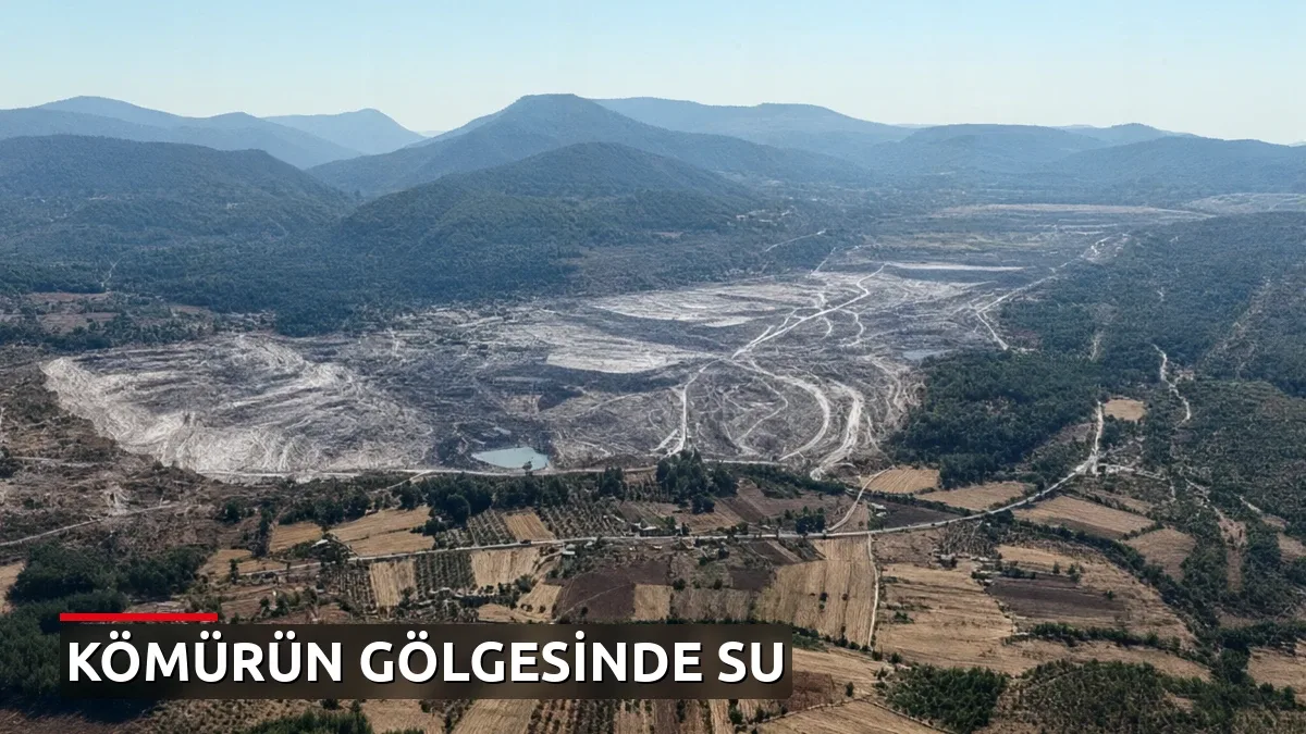 COP31 öncesi kritik çağrı: Kömürden çıkış takvimi bekleniyor