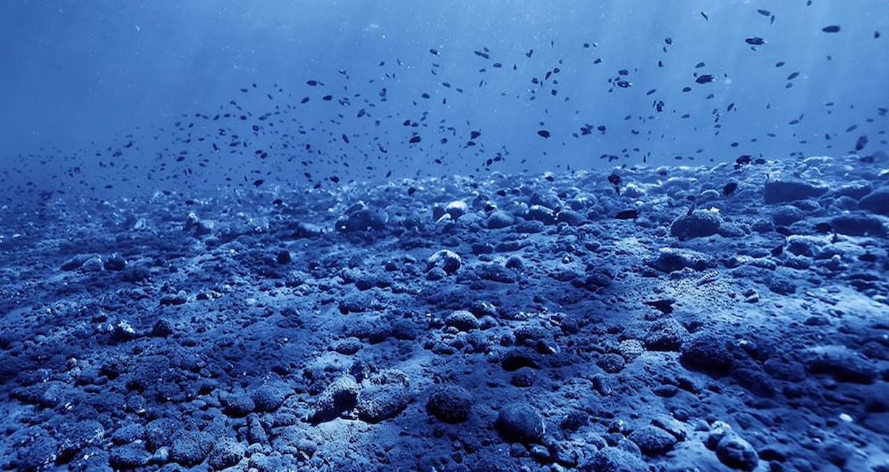 Okyanusların Altında 73 Yeni Volkanik Krater Keşfedildi: Küresel Altyapı Tehlikede