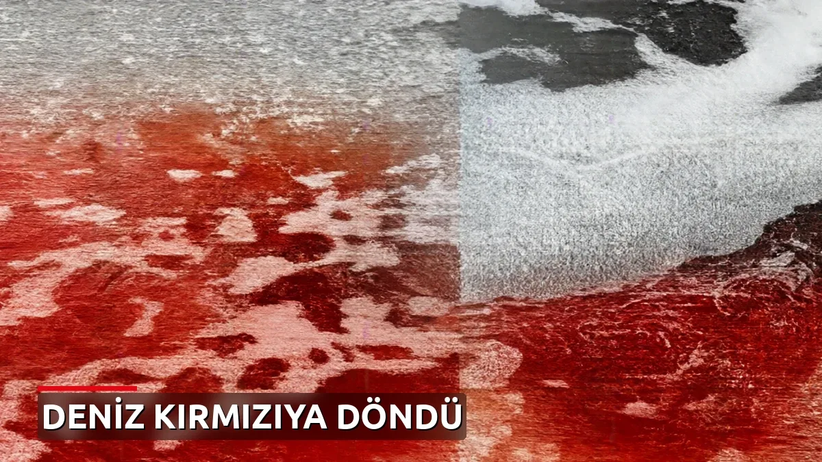 Deniz yüzeyi kırmızıya boyandı: Yalova'da korkutan görüntü