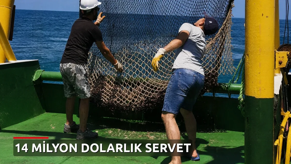 Denizden 14 milyon dolarlık servet: En çok satın alan ülkeler belli oldu