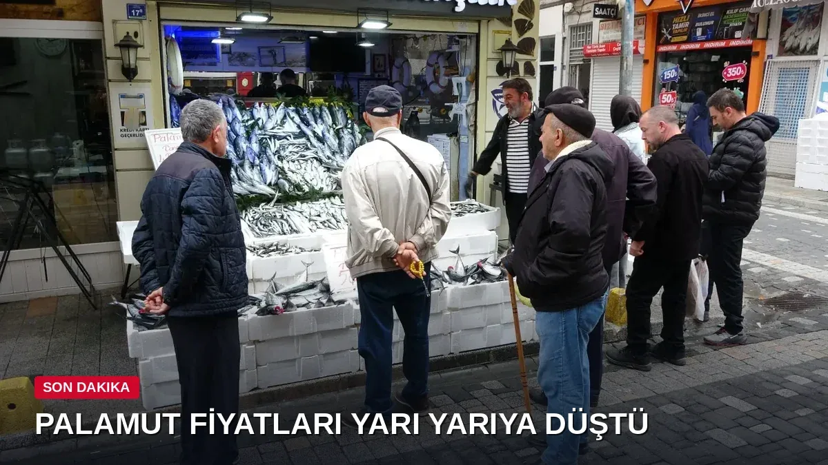 Fiyatı Gören Şok Oldu, Sıraya Girdi! Palamudun Tanesi 50 Liraya Kadar Düştü