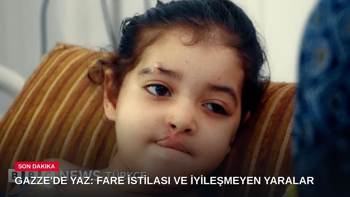 Gazze'de yaz: Fare istilasındaki kamplar ve iyileşmeyen yaralar