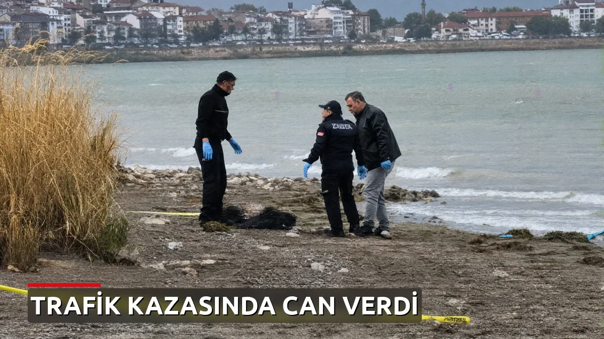 Göl kıyısında bulunan ceset, 10 gündür aranan tıp öğrencisine ait çıktı