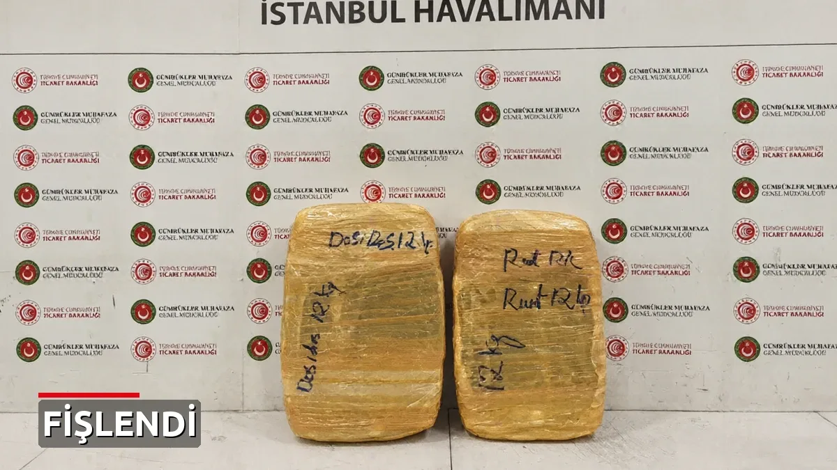 İstanbul Havalimanı'nda uyuşturucu operasyonu: 25 kilo esrar ele geçirildi