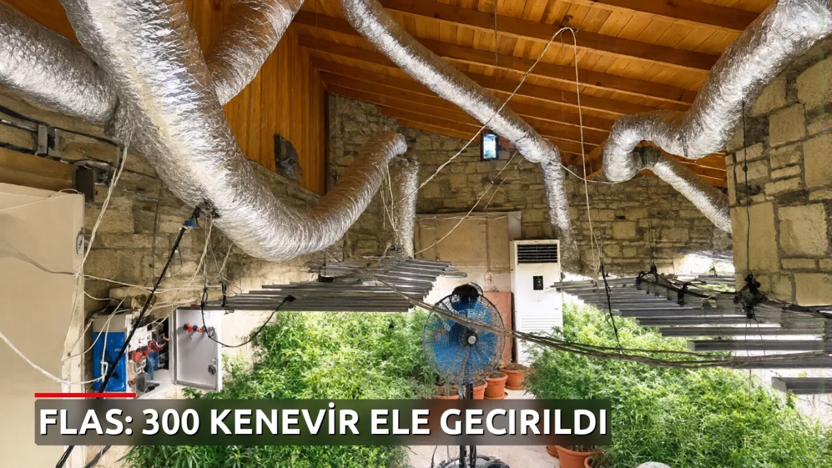 Kemalpaşa'daki villada 300 kök kenevir ele geçirildi!