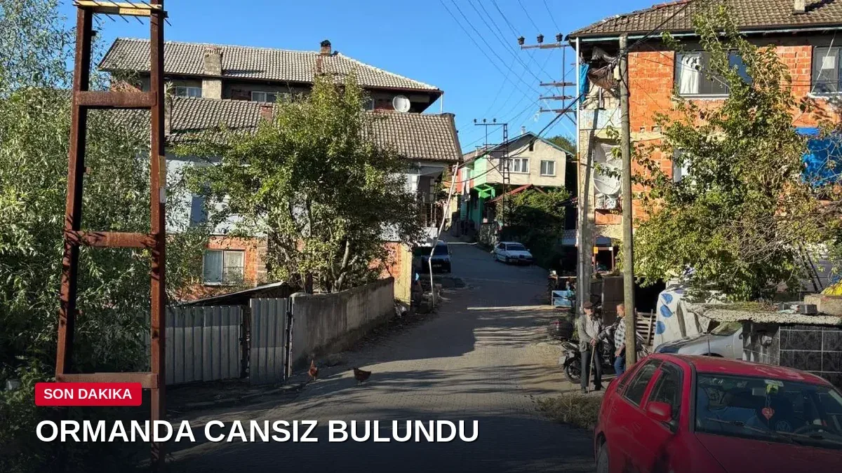 Kestane toplamaya gittiği ormanda cansız bedeni bulundu