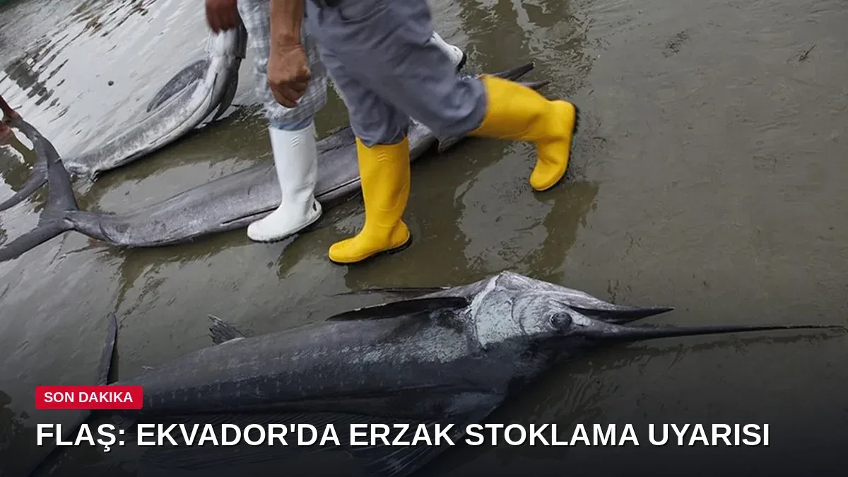Kitleler halinde kıyıya vurmaya başladı: Ekvador'da 'erzak stoklayın' uyarısı
