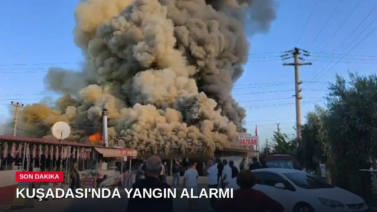 Kuşadası'nda korkutan yangın! Alevler pazar yerini sardı