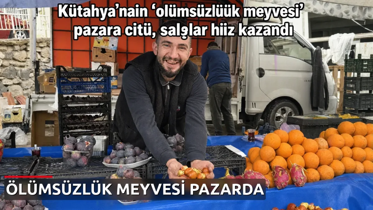 Kütahya'nın 'ölümsüzlük meyvesi' pazara çıktı, satışlar hız kazandı
