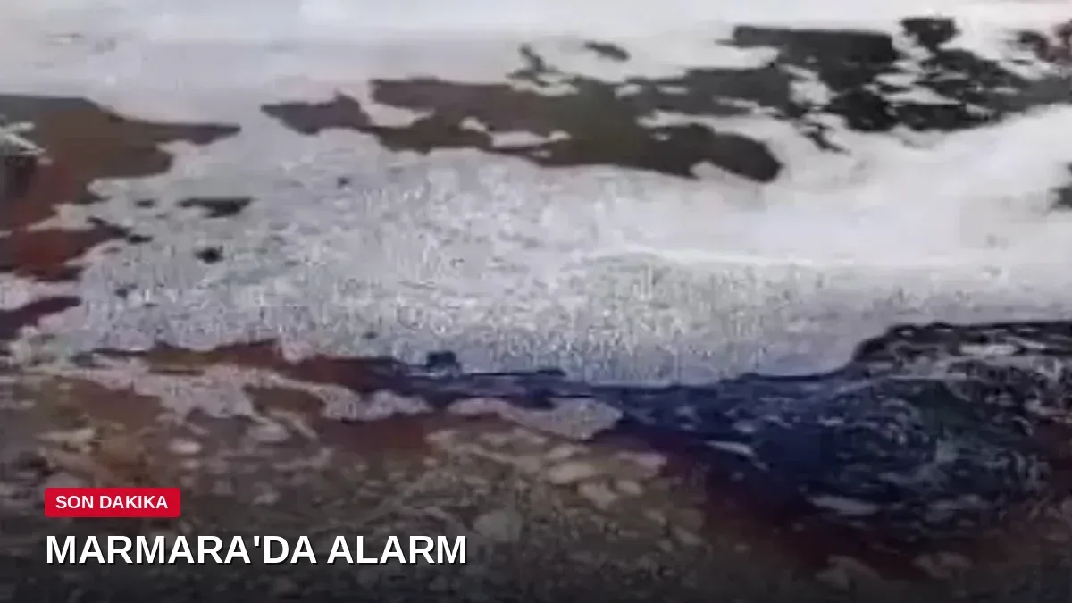 Marmara Denizi'nde korkutan görüntü! Deniz yüzeyi bir anda kırmızıya döndü