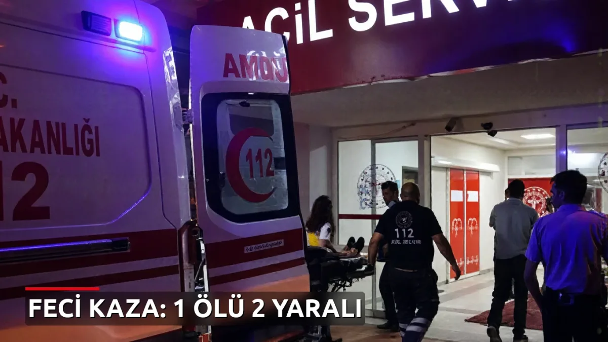 Osmaniye'de feci kaza: 1 kişi hayatını kaybetti, 2 kişi yaralandı