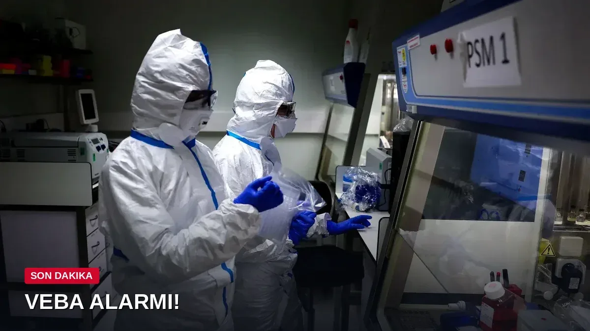 Rusya'da veba alarmı! Yetkililer olağanüstü toplandı, yüzlerce kişi karantinada