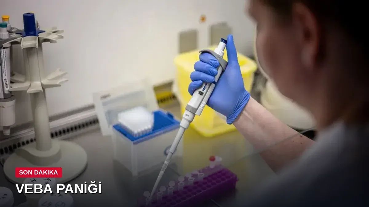 Rusya'da veba paniği: Laboratuvar çalışanının ölümü sonrası 5 hastane kapatıldı