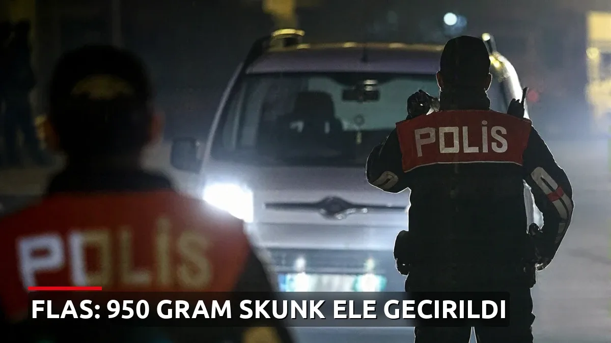 Sakarya'da Durdurulan Araçtan 950 Gram Skunk Çıktı: Sürücü Gözaltında