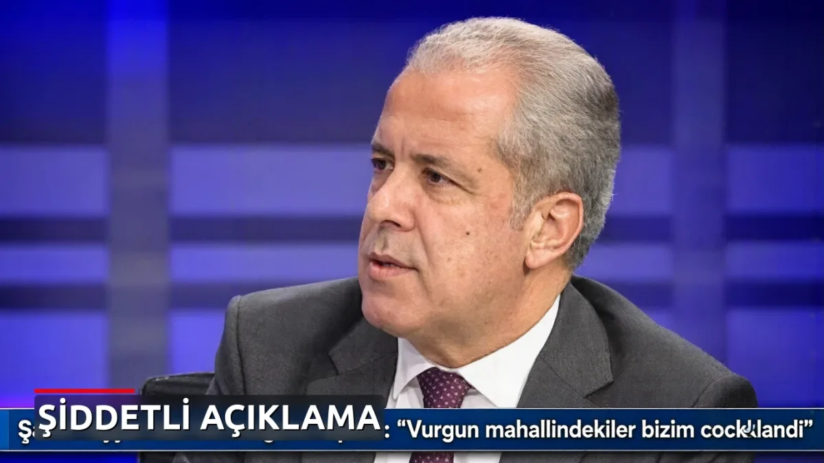 Şamil Tayyar'dan fon vurgunu açıklaması: 'Vurgun mahallindekiler bizim çocuklardı'
