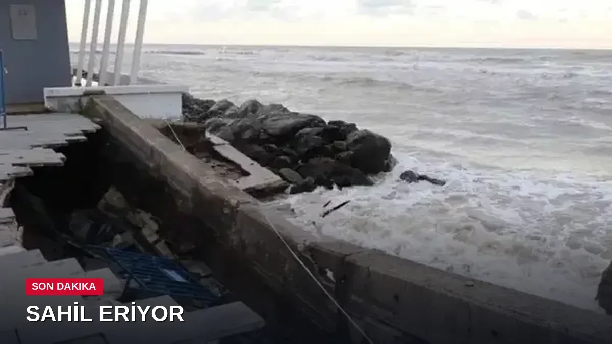 Samsun'da kıyı erozyonu sorunu büyüyor: Sahil için alarm zili çalıyor