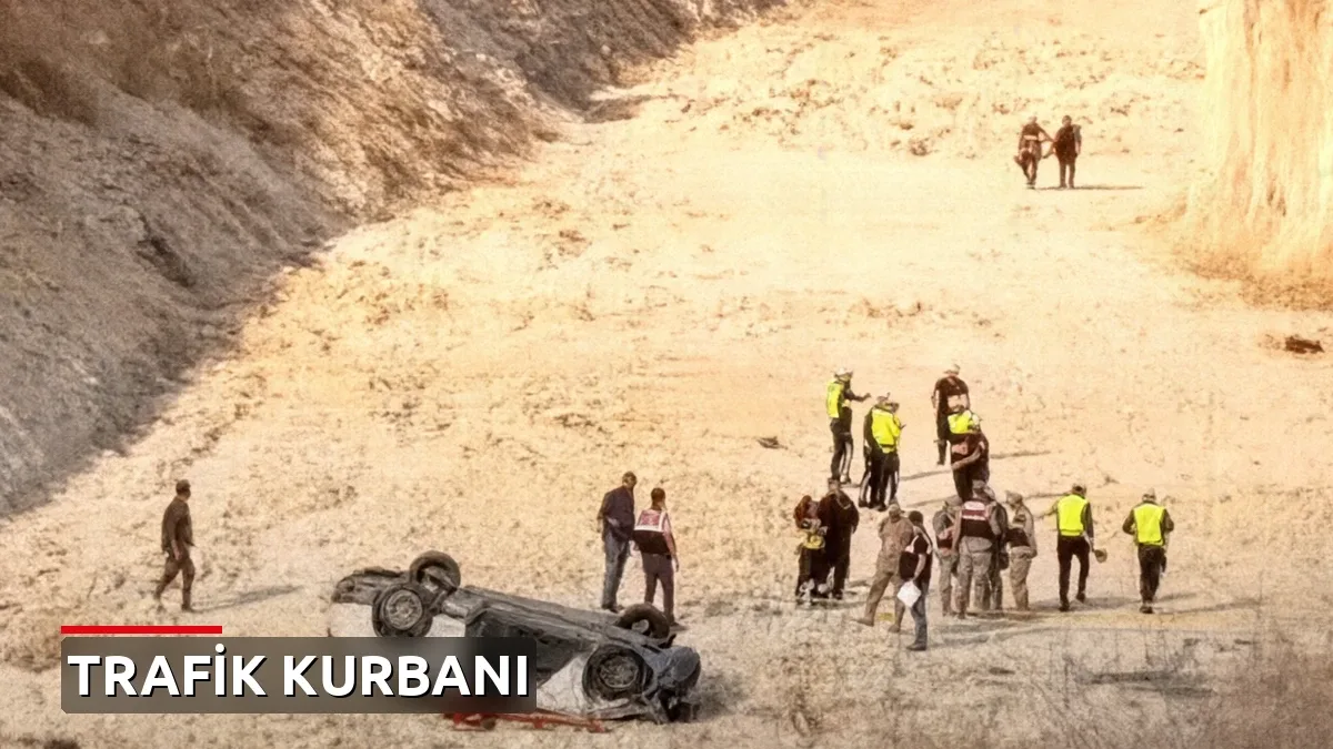 Şanlıurfa'da feci kaza! Sürücü hayatını kaybetti