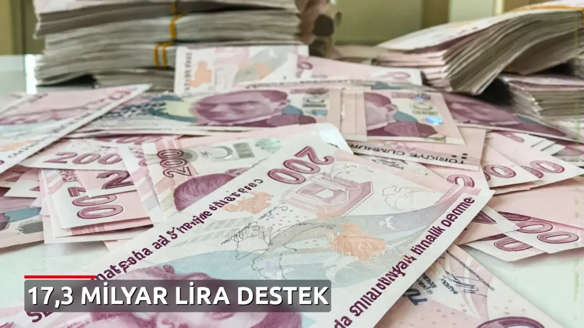 SED kapsamında 9 ayda 17,3 milyar liralık ödeme