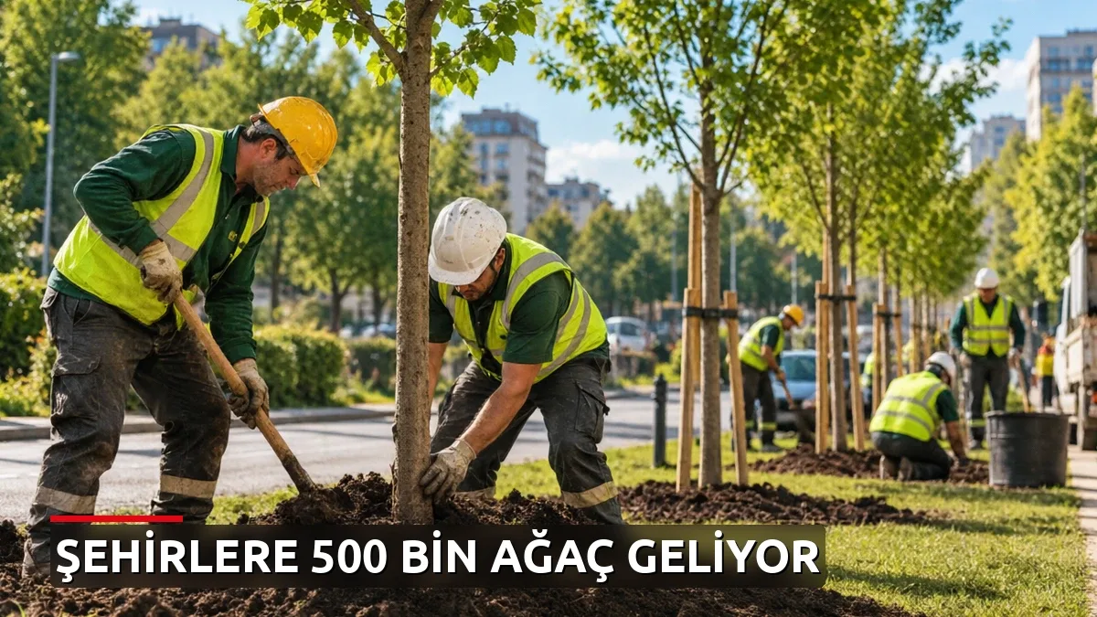 Şehirleri serinletmek için 500 bin ağaç dikilecek