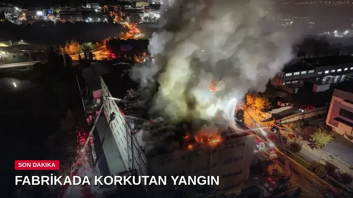 Tuzla'da Ayakkabı Fabrikasında Korkutan Yangın: Alevler İki Metreye Ulaştı