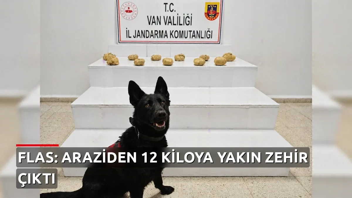 Van Başkale'de araziye gizlenmiş çuvallardan 12 kiloya yakın toz esrar çıktı
